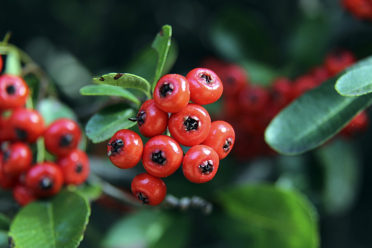 的威胁性将 的威胁性将