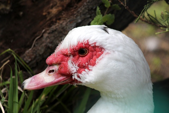 时给对方施 时给对方施