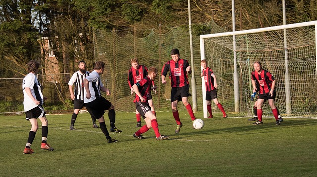 平板支撑 平板支撑