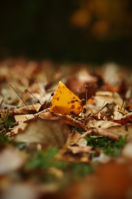 新定义什么 新定义什么