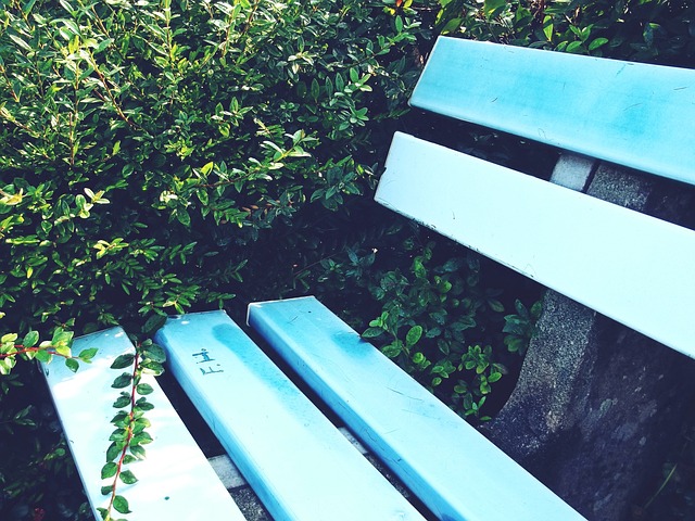 平的希望 平的希望