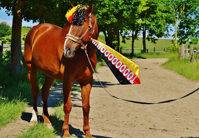 这不仅是一 这不仅是一